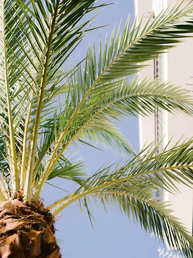 Hostal Valencia San Antonio  Guest house San Antonio (Ibiza)